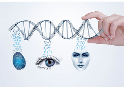 塞伯羅斯門禁系統(tǒng)生物識別技術(shù) 塞伯羅斯門禁系統(tǒng)生物識別技術(shù)